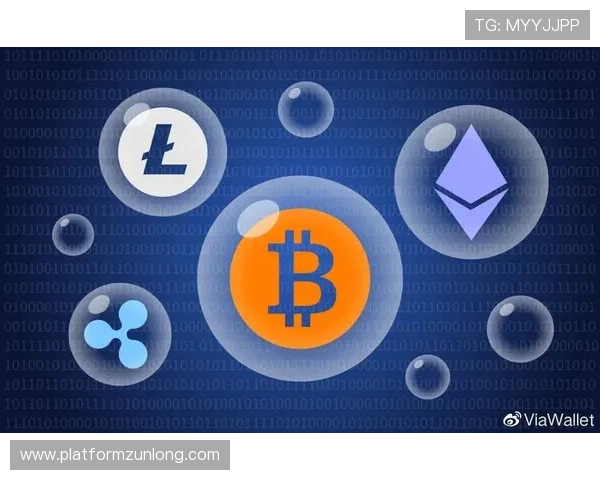 尊龙备用账号安全措施全面解析保障玩家个人信息与资产安全的有效方法