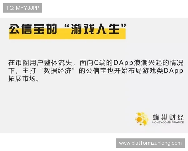 尊龙d88国际厅游戏安全保障措施全面解析，保障玩家账户资金与信息安全